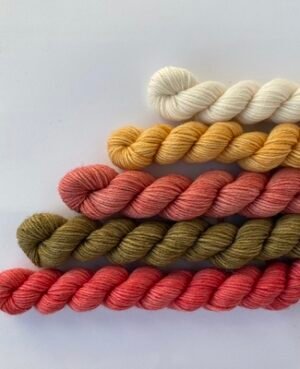 pack minis srt yarn - merino 07